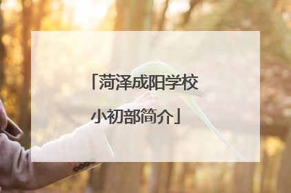 菏泽成阳学校小初部简介