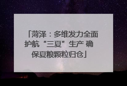 菏泽：多维发力全面护航“三夏”生产 确保夏粮颗粒归仓