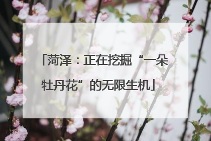 菏泽：正在挖掘“一朵牡丹花”的无限生机
