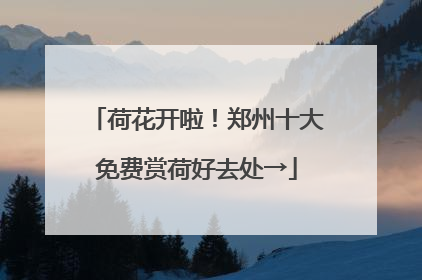 荷花开啦！郑州十大免费赏荷好去处→