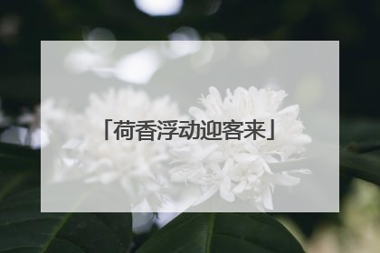 荷香浮动迎客来