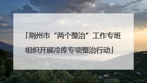 荆州市“两个整治”工作专班组织开展冷库专项整治行动