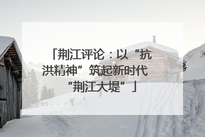 荆江评论：以“抗洪精神”筑起新时代“荆江大堤”