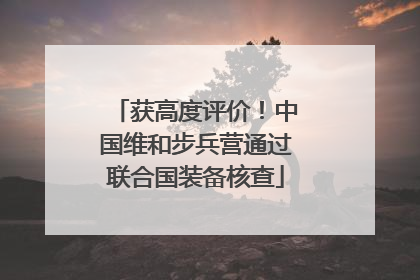 获高度评价！中国维和步兵营通过联合国装备核查