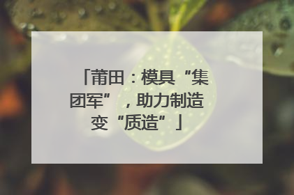 莆田：模具“集团军”，助力制造变“质造”