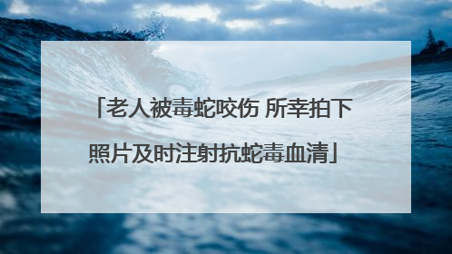 老人被毒蛇咬伤 所幸拍下照片及时注射抗蛇毒血清