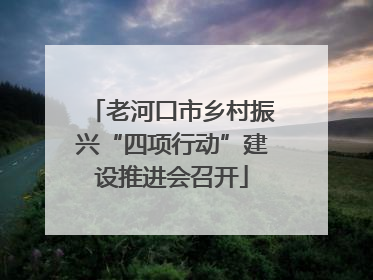 老河口市乡村振兴“四项行动”建设推进会召开