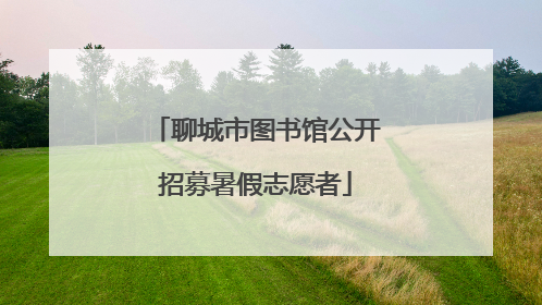 聊城市图书馆公开招募暑假志愿者