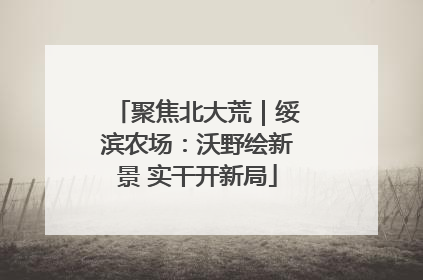 聚焦北大荒｜绥滨农场：沃野绘新景 实干开新局