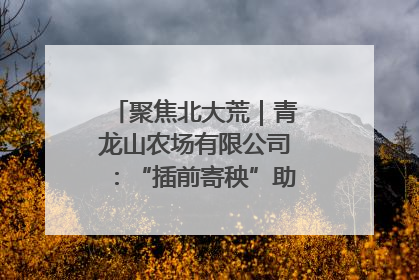 聚焦北大荒｜青龙山农场有限公司：“插前寄秧”助力农业节本增效