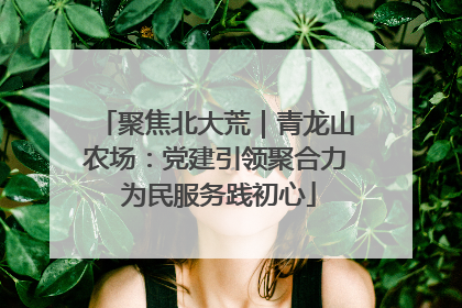 聚焦北大荒｜青龙山农场：党建引领聚合力 为民服务践初心