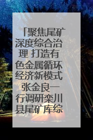 聚焦尾矿深度综合治理 打造有色金属循环经济新模式 张金良一行调研栾川县尾矿库综合治理工作