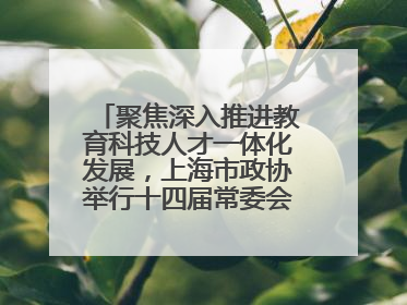 聚焦深入推进教育科技人才一体化发展，上海市政协举行十四届常委会第十八次会议，胡文容出席并讲话