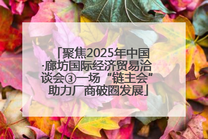 聚焦2025年中国·廊坊国际经济贸易洽谈会③一场“链主会” 助力厂商破圈发展