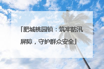 肥城桃园镇：筑牢防汛屏障，守护群众安全