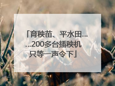 育秧苗、平水田……200多台插秧机只等一声令下