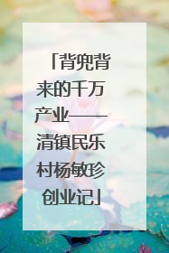 背兜背来的千万产业——清镇民乐村杨敏珍创业记