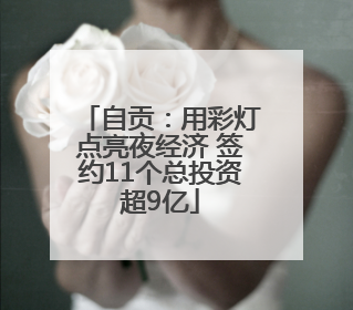 自贡：用彩灯点亮夜经济 签约11个总投资超9亿