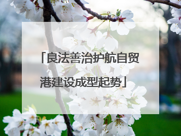 良法善治护航自贸港建设成型起势