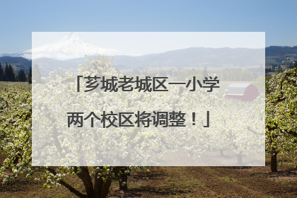 芗城老城区一小学两个校区将调整！