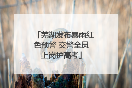 芜湖发布暴雨红色预警 交警全员上岗护高考