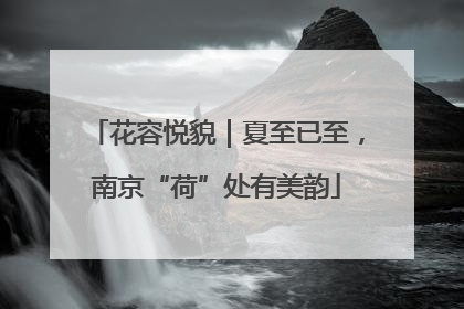 花容悦貌｜夏至已至，南京“荷”处有美韵
