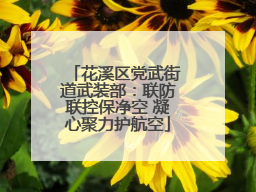 花溪区党武街道武装部：联防联控保净空 凝心聚力护航空