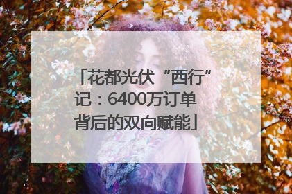 花都光伏“西行”记：6400万订单背后的双向赋能
