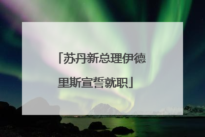 苏丹新总理伊德里斯宣誓就职