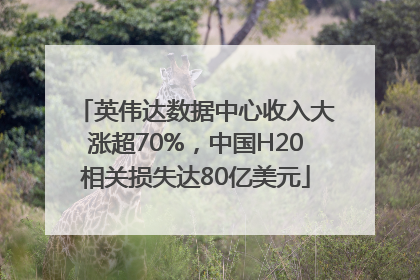 英伟达数据中心收入大涨超70%，中国H20相关损失达80亿美元