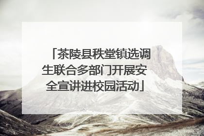 茶陵县秩堂镇选调生联合多部门开展安全宣讲进校园活动