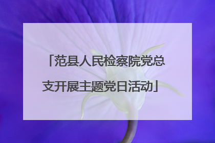 范县人民检察院党总支开展主题党日活动