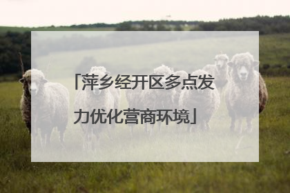 萍乡经开区多点发力优化营商环境