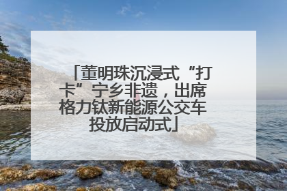 董明珠沉浸式“打卡”宁乡非遗，出席格力钛新能源公交车投放启动式