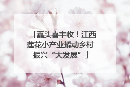 藠头喜丰收！江西莲花小产业撬动乡村振兴“大发展”