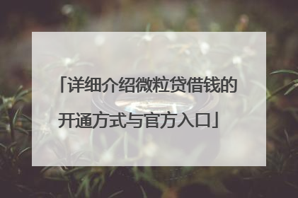 详细介绍微粒贷借钱的开通方式与官方入口