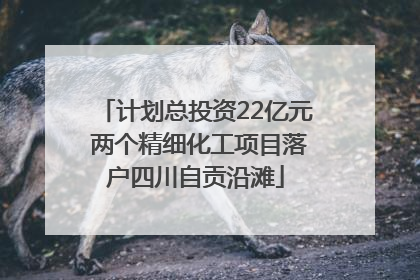 计划总投资22亿元 两个精细化工项目落户四川自贡沿滩