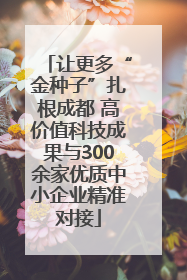 让更多“金种子”扎根成都 高价值科技成果与300余家优质中小企业精准对接