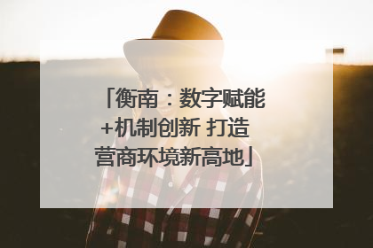 衡南：数字赋能+机制创新 打造营商环境新高地