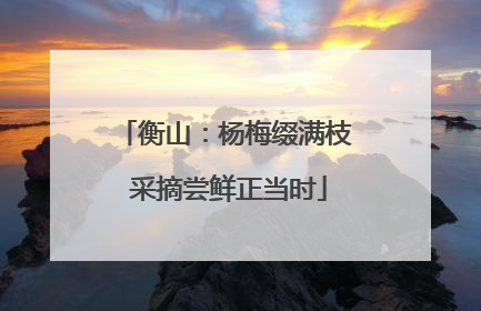 衡山：杨梅缀满枝 采摘尝鲜正当时