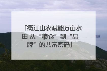 衢江山农赋能万亩水田 从“粮仓”到“品牌”的共富密码