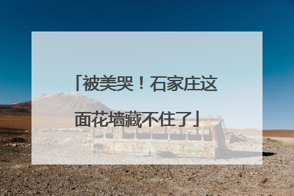 被美哭！石家庄这面花墙藏不住了