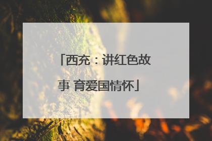 西充：讲红色故事 育爱国情怀