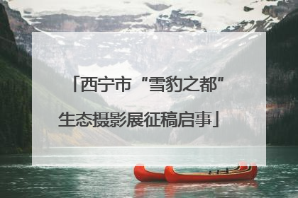 西宁市“雪豹之都”生态摄影展征稿启事