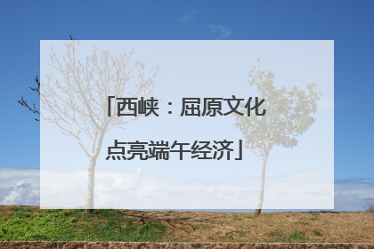 西峡：屈原文化点亮端午经济