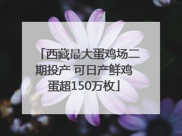 西藏最大蛋鸡场二期投产 可日产鲜鸡蛋超150万枚