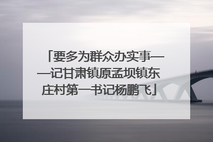 要多为群众办实事——记甘肃镇原孟坝镇东庄村第一书记杨鹏飞