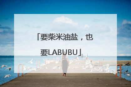 要柴米油盐，也要LABUBU