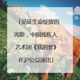 见证生命绽放的光彩，中国残疾人艺术团《我的梦》在沪公益演出