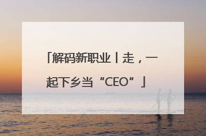 解码新职业丨走，一起下乡当“CEO”